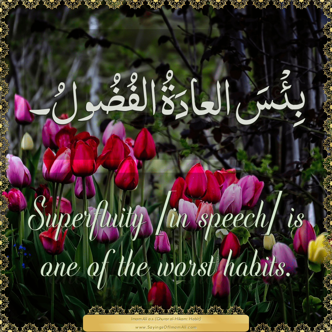 Superfluity [in speech] is one of the worst habits.